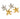 Sea Star